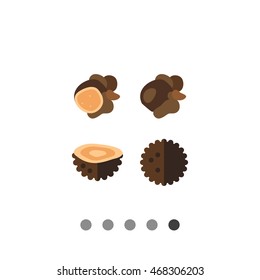 Black Truffles Icon