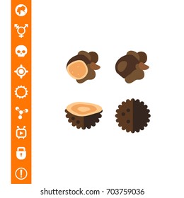 Black Truffles Icon