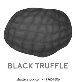Black truffles icon in monochrome style isolated on white background. Mushroom symbol stock vector illustration.
