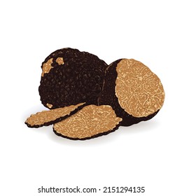 Black truffles isolated on a white background. Fresh sliced truffle. Delicacy exclusive truffle mushroom. on white background, vector illustration