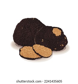 Black truffles isolated on a white background. Fresh sliced truffle. Delicacy exclusive truffle mushroom. on white background, vector illustration