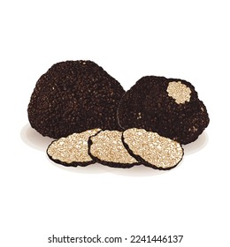 Black truffles isolated on a white background. Fresh sliced truffle. Delicacy exclusive truffle mushroom. on white background, vector illustration