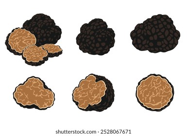 Black truffles isolated on a white background. Fresh sliced truffle. Delicacy exclusive truffle mushroom. on white background, vector illustration