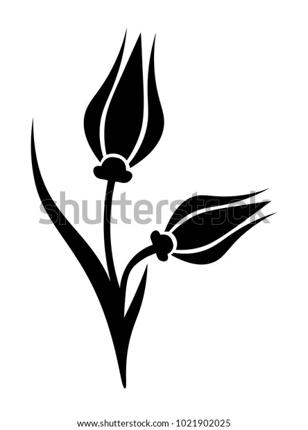 Black Tulip Vector On White Background Stock Vector (Royalty Free