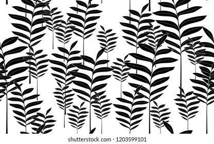 Black tumeric flowers and leaves pattern. Vector illustration. Botanical seamless wallpaper. Digital nature art. Cartoon style sketch. White background.