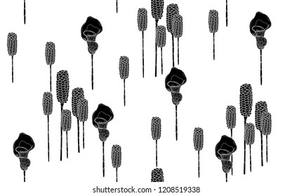 Black tumeric flowers pattern. Vector illustration. Botanical seamless wallpaper. Digital nature art. Cartoon style sketch. White background.