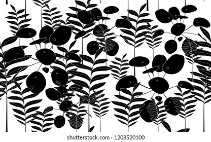 Black tumeric leaves pattern. Vector illustration. Botanical seamless wallpaper. Digital nature art. Cartoon style sketch. White background.