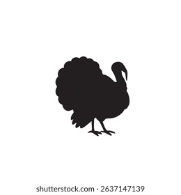 Black Turkey Beautiful Bird Image