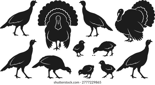 Black turkey silhouettes, wild bird shapes, Thanksgiving poultry elements, farm animal icons, nature wildlife graphics, hunting season symbols, bird, meat, gobbler, livestock.