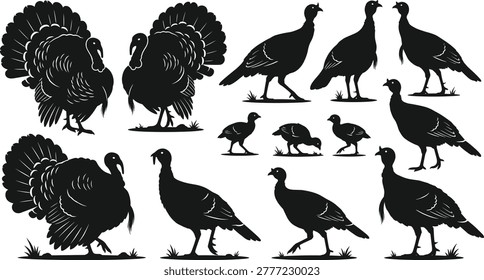 Black turkey silhouettes, wild bird shapes, thanksgiving poultry elements, farm animal icons, nature wildlife graphics, hunting season symbols, bird, meat, gobbler.