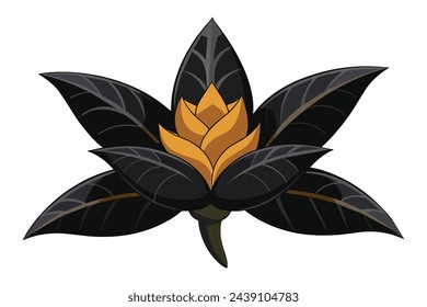 Black turmeric flower flat vector illustration.