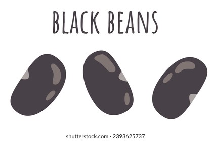 Ilustración de alubias de tortuga negra aisladas en fondo blanco. Gráfica vectorial de judías. Ingredientes de cocina latina. Fuente de proteína vegana.	