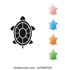 Black Turtle icon isolated on white background. Set icons colorful. Vector Illustration