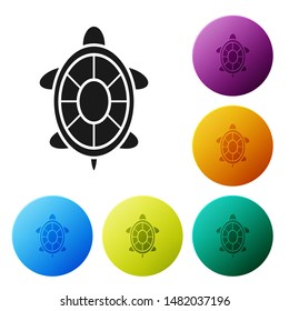 Black Turtle icon isolated on white background. Set icons colorful circle buttons. Vector Illustration