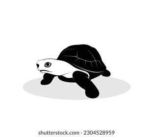 Black Turtle Logo Design Illustration