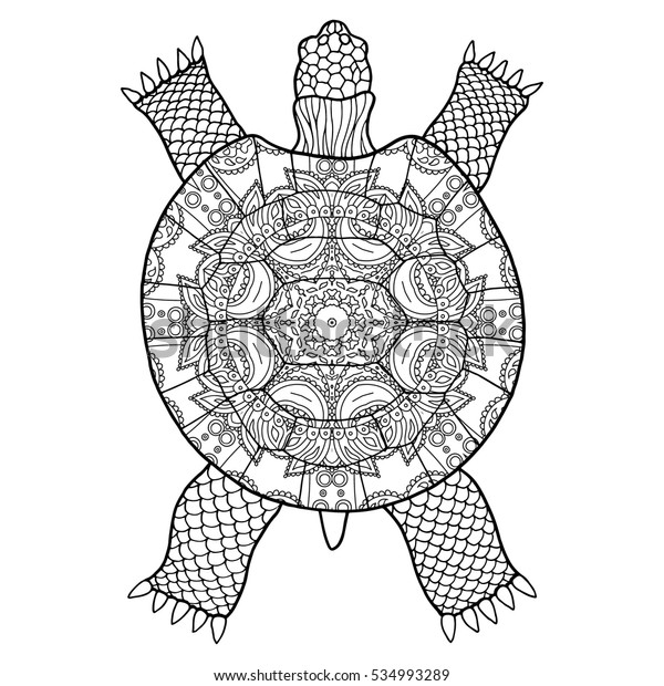 Black Turtle On White Background Adult Stock Vector (Royalty Free ...