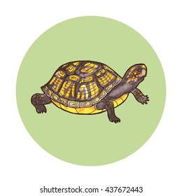 Black turtle. Outline with watercolor background. Vector illustration.