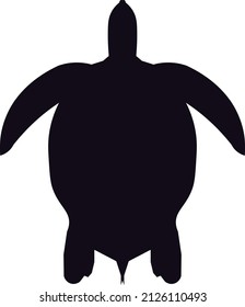 A black turtle vector of graphic