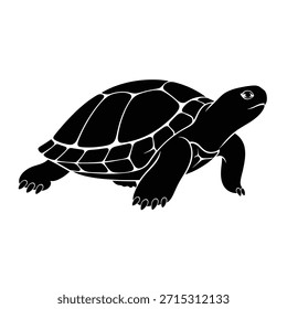 A black turtle with white outlines on its shell, legs, and face is walking to the right on a plain white background