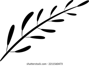Black twig and leaves. Isolated vector illustration, transparent background. Asset for stamp, brush, flourish design, Christmas cards, pattern, montage or collage.