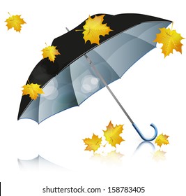 black umbrella with falling leaves