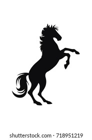 black unicorn