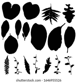 Arrojaron varias hojas de bosque negras. Ramas de árboles aisladas y silueta de hierbas o hojas de follaje. Hecho de plantas vivas reales. Vector.