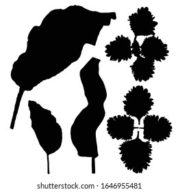 Black various tropical jungle leaves set. Isolated palm tree branches and herbs leaf or foliage silhouette. Vector.