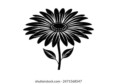 Black vector artwork illustration of an Osteospermum daisy flower silhouette, capturing the delicate details and striking form of this beautiful bloom in a minimalist, yet captivating design.