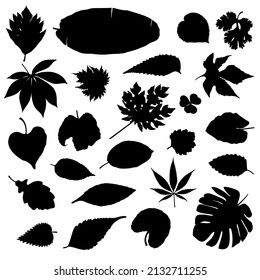 black vector assorted kinds of leaves