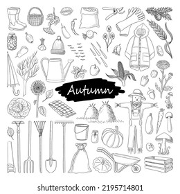 BLACK VECTOR ATTRIBUTES OF AUTUMN ISOLATED ON A WHITE BACKGROUND