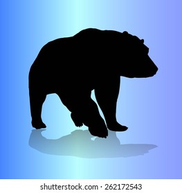 Black vector Bear with shadow on blue background.