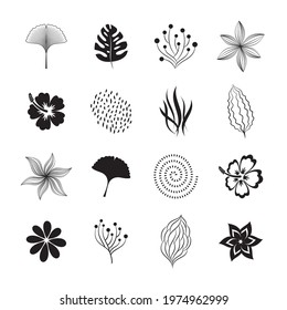 Black vector botanical and organic design elements