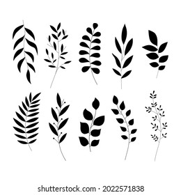 Black vector branches set. Plant leaf silhouettes isolated on a white background. Monochrome illustration for decoration, design, graphic, print, wrapping, textile