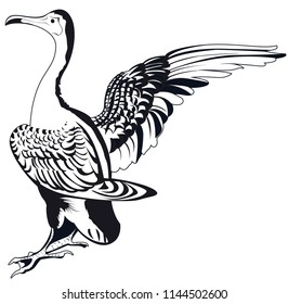 black vector of cormorant alone