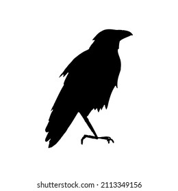 Black vector crow silhouette. Spooky bird for halloween decoration, print, poster, sticker, web design, cut machine