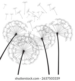 Black vector dandelions. EPS Illustration