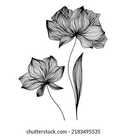 Black vector flowers on a white background