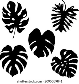 Black vector foliage, isolated, tropical leaves, white background, monstera