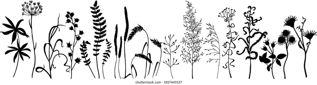 Black vector grass of different types on a white background. Seamless pattern from separate elements.
