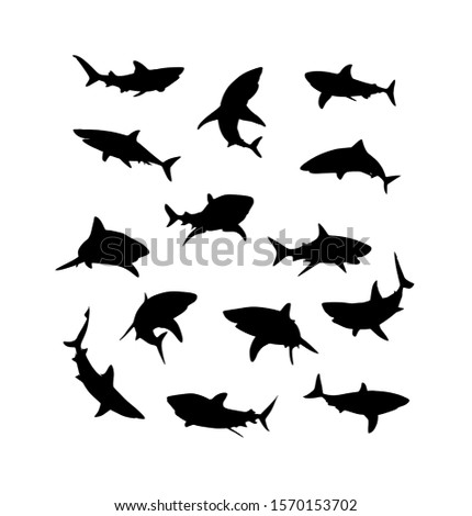 Black vector hand-drawn drawing of sharks fishes silhouettes set isolated on white background.Ocean,sea fish, animal swimming, fauna stencil design illustration.