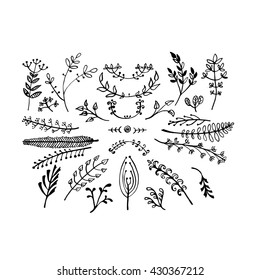 Black vector hand-drawn floral and botany elements