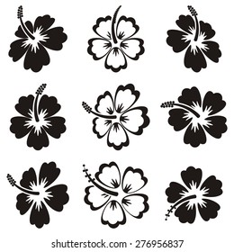 Vector Set Black White Flowers Stock Vector (Royalty Free) 224453779