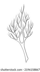 BLACK VECTOR ILLUSTRATION OF A BARE BRANCH ISOLATED ON A WHITE BACKGROUND
