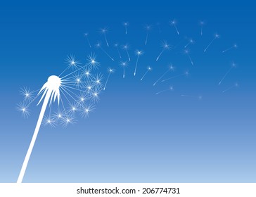 black vector illustration of blowing dandelion