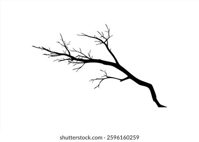 A black vector illustration depicts a bare tree branch with intricate details of its twisted limbs. This stark design emphasizes natural forms and contrasts with the empty space around it.