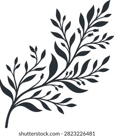 Black vector illustration of a flowering plant branch with thin stems pointed leaves and tiny round fruit buds suitable for elegant floral compositions.