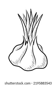 BLACK VECTOR ILLUSTRATION OF GARLIC ISOLATED ON A WHITE BACKGROUND