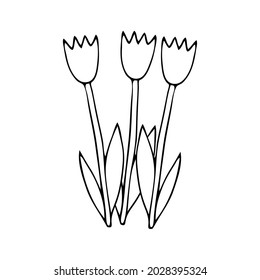 A Black Vector illustration of a group of three tulip flowers with leaves isolated on a white background