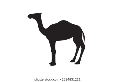 Black vector illustration of a standing camel in a clean and bold silhouette style. Perfect for desert-themed designs, travel and tourism graphics, wildlife education, Middle Eastern culture